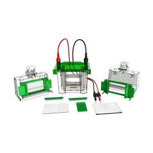 Sel elektroforesis vertikal mini