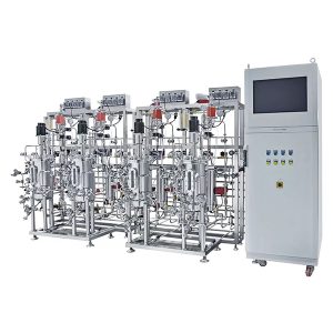 fermenter baja tahan karat paralel ganda