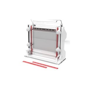 Elektroforesis urutan asam nukleat sel