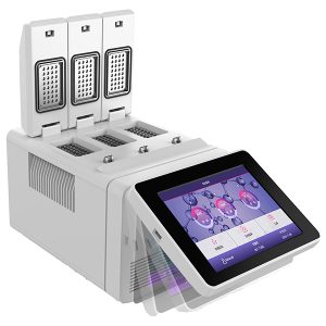 Termosiklus gradien tiga blok