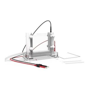 Sel elektroforesis vertikal